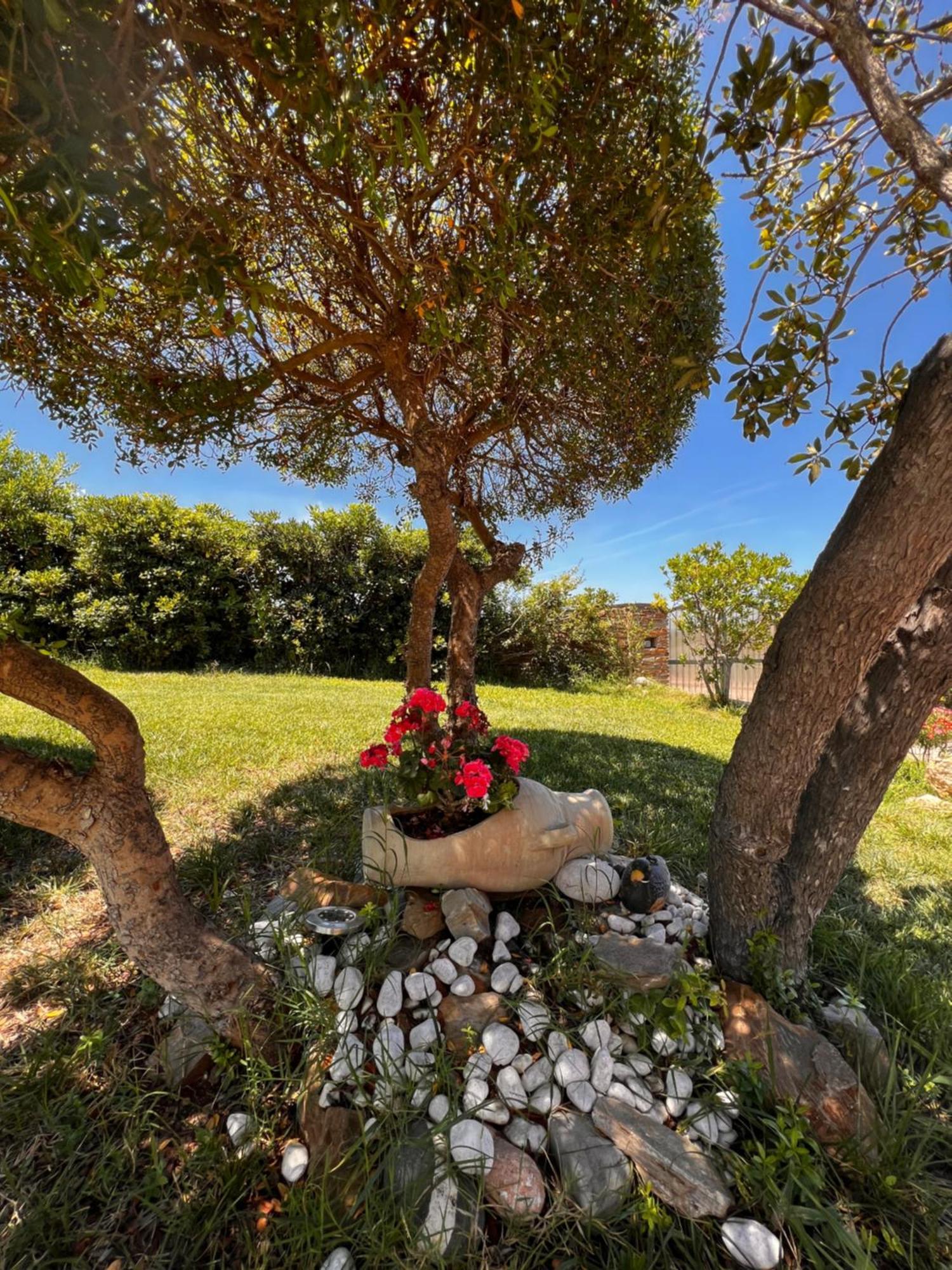 Villa Patrizia Stintino Exteriér fotografie